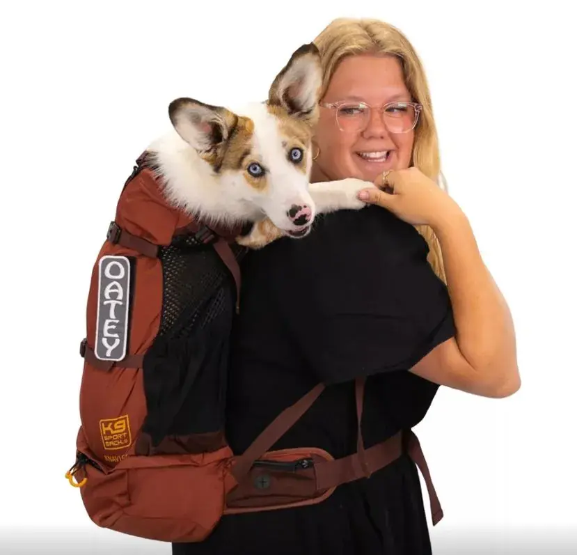 Premium K9 Sport Sack® Knavigate Dune Extra Large